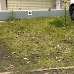 Il Gelsomino Apartament Florencja